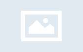 No-Image placeholder